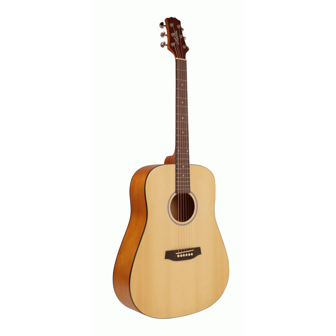 Ashton D20 NTM Acoustic Guitar - ASHTON