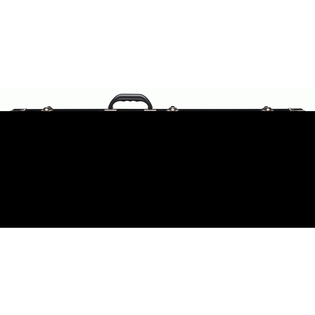 ESP DELUXE CASE TO ECLIPSE MODEL GUITARS - ESP