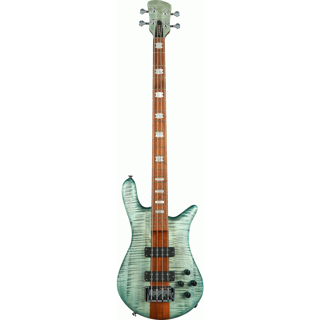 EURO 4 ROASTED TURQUOISE TIDE AGUILAR PUPS - Spector