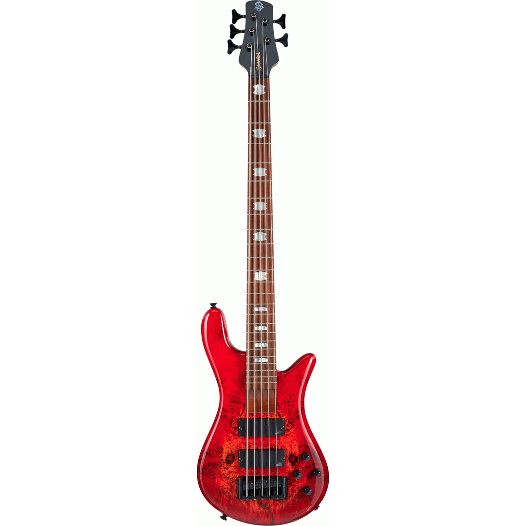 EURO 5 BOLT INFERNO GLOSS AGUILAR PUPS - Spector