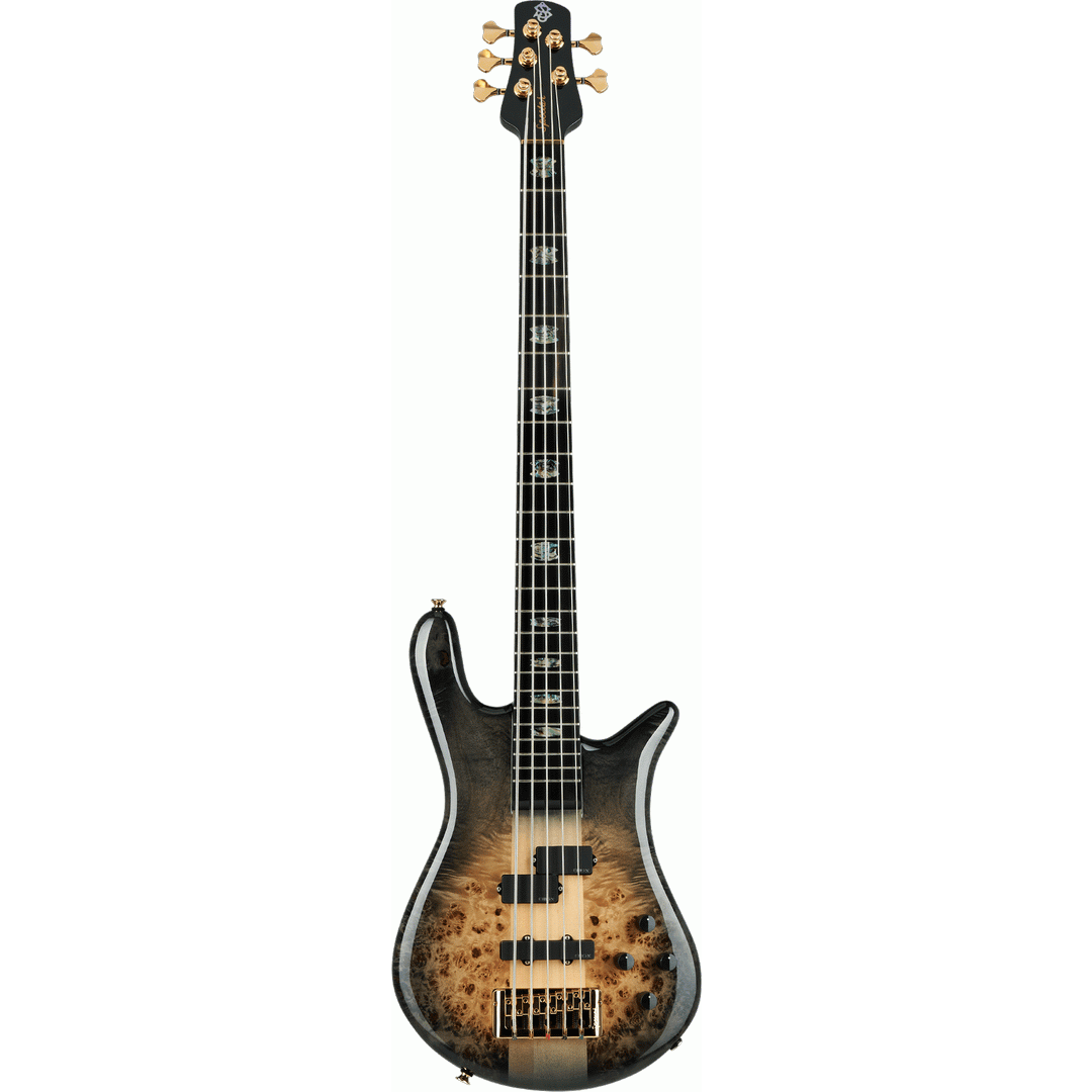 Euro 5 Custom - Natural Black Burst Gloss - SPECTOR