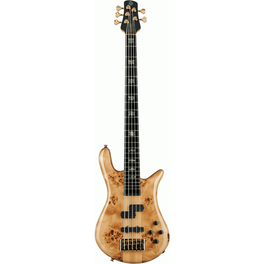 Euro 5 Custom - Natural Gloss - SPECTOR
