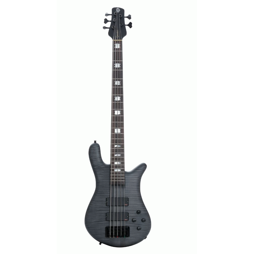 EURO 5 LX TRANS BLACK MATTE STAIN - Spector