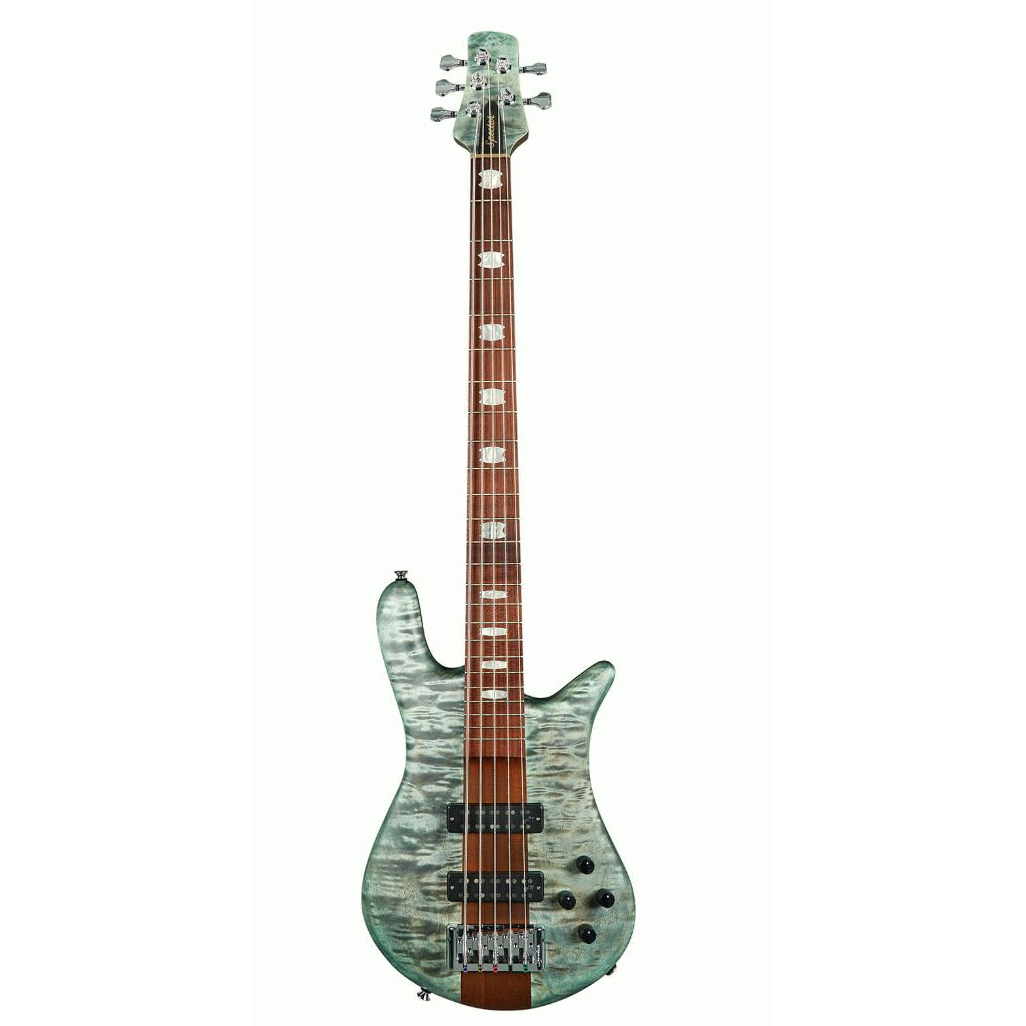 EURO 5 ROASTED TURQUOISE TIDE AGUILAR PUPS - Spector