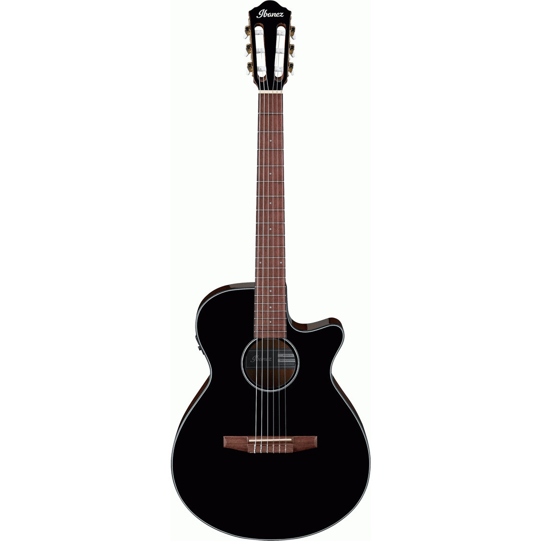 IBANEZ AEG50N BKH NYLON ACOUSTIC GUITAR - IBANEZ