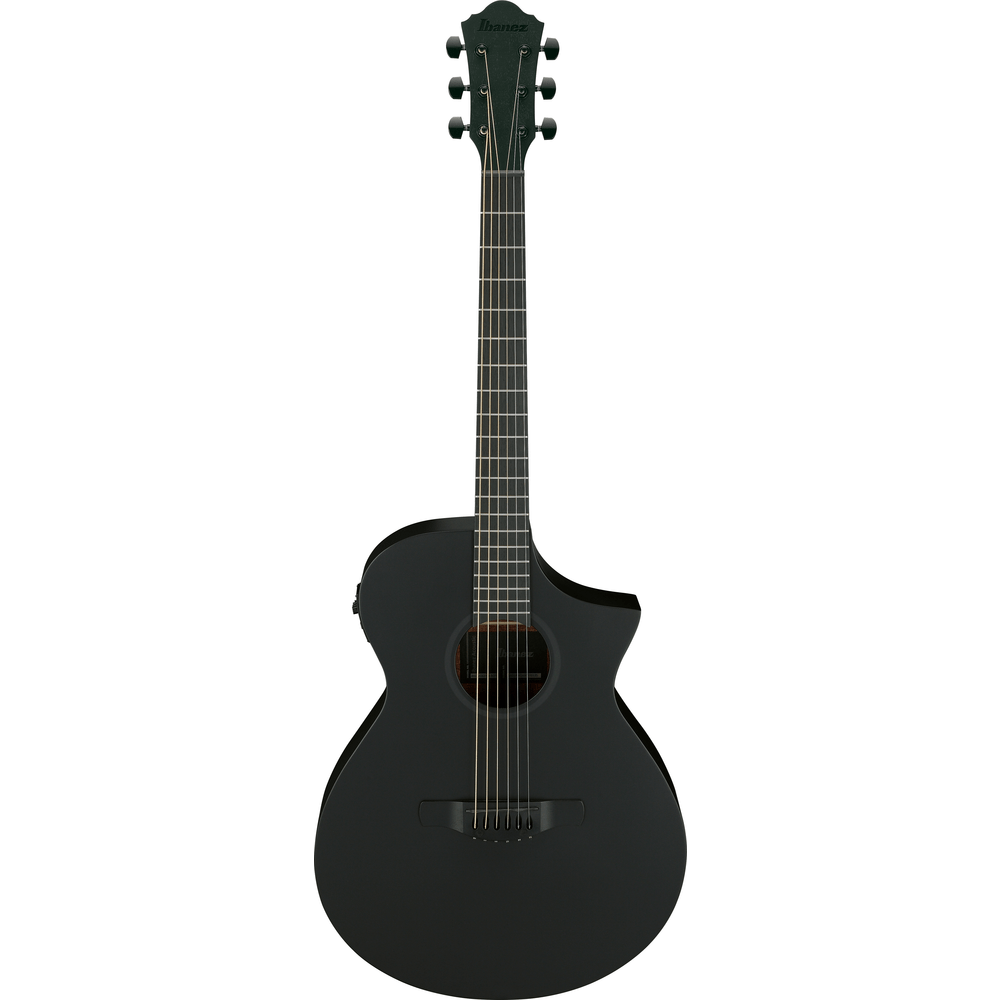 IBANEZ AEWC621 BOT ACOUSTIC GUITAR - IBANEZ