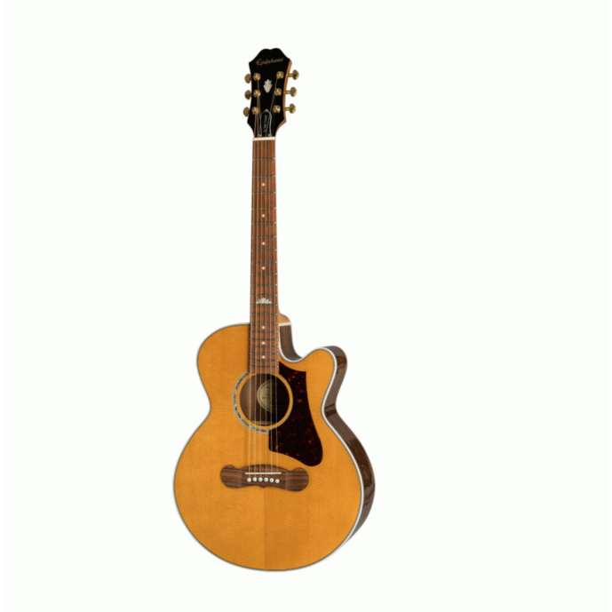 J200EC PARLOR VTG NATURAL - EPIPHONE