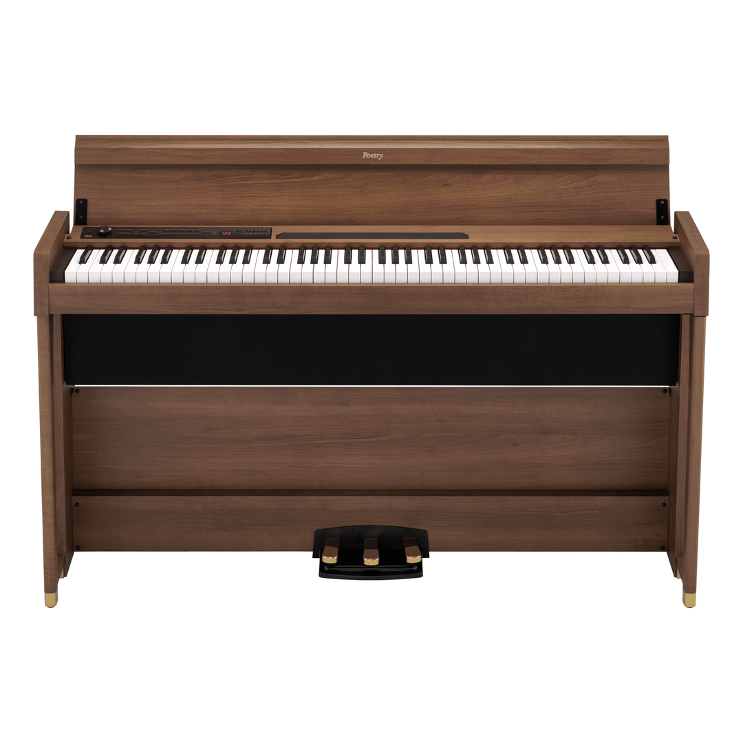 KORG POETRY 88 NOTE HAMMER ACTION PIANO - KORG