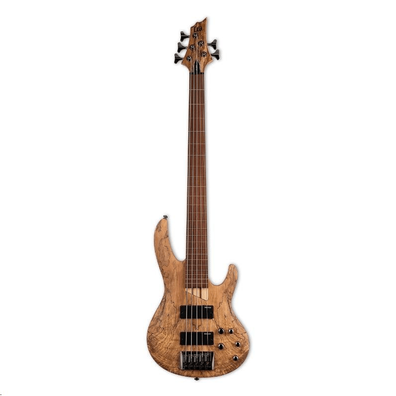 LTD LB - 205 FRETLESS - ESP