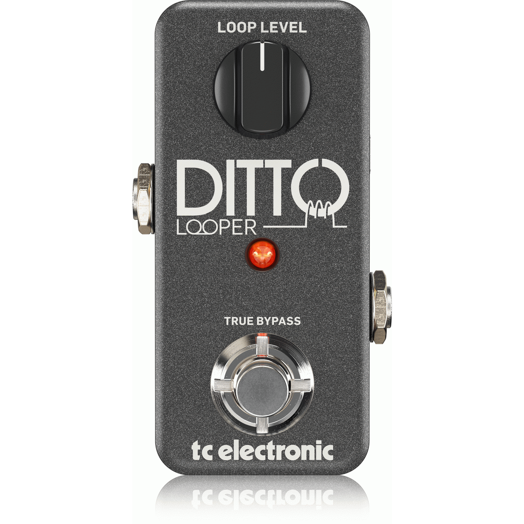 TC ELECTRONIC DITTO LOOPER - TC ELECTRONIC